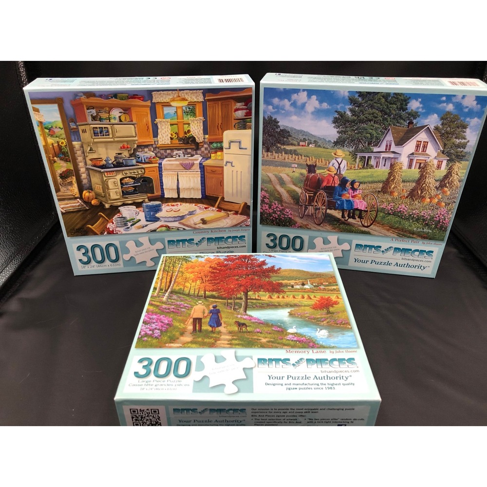 3 ~Bits and Pieces Puzzles 300 Large Pieces John Sloane ~ Joseph Burgess